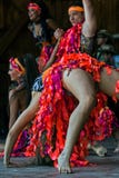 Colombianska dansare Royaltyfria Bilder Colombianska dansare Royaltyfria Bilder