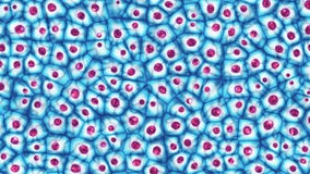 Colonie cellulaire de cellules souche embryonnaire sous une illustration du microscope 3D image libre de droits Colonie cellulaire de cellules souche embryonnaire sous une illustration du microscope 3D image libre de droits