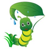Color verde Caterpillar en la lluvia debajo de la hoja stock de ilustración Color verde Caterpillar en la lluvia debajo de la hoja stock de ilustración