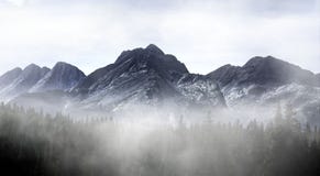 Colorado Misty Mountain fotografia stock Colorado Misty Mountain fotografia stock