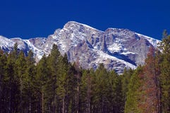Colorado Rocky Mountains And Pine Trees Royalty Free Stock Photography