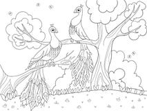 Coloration de bande dessinée pour des enfants Un oiseau, une plume d'un oiseau ou un paon sur un arbre Couples dans l'amour Images stock Coloration de bande dessinée pour des enfants Un oiseau, une plume d'un oiseau ou un paon sur un arbre Couples dans l'amour Images stock