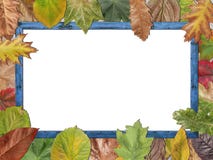 Colored autumn leaves with blue wooden picture frame stock photography Colored autumn leaves with blue wooden picture frame stock photography