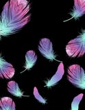Colored feather background stock illustration Colored feather background stock illustration
