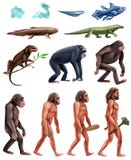 Darwin Evolution Icon Set vector illustration Darwin Evolution Icon Set vector illustration