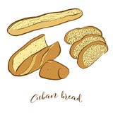 Colored sketches of Cuban bread bread royalty free illustration Colored sketches of Cuban bread bread royalty free illustration
