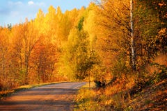 Colores del otoño en Finlandia 3 imagen de archivo libre de regalías Colores del otoño en Finlandia 3 imagen de archivo libre de regalías