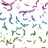 Colorful abstract feathers on white background Stock Images Colorful abstract feathers on white background Stock Images