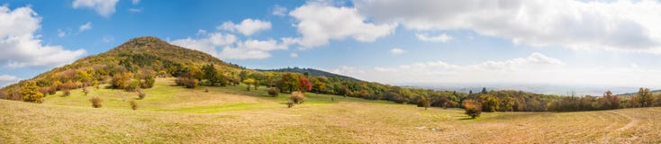 Colorful Autumn Forest And Meadow Stock Image Colorful Autumn Forest And Meadow Stock Image