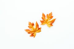 Colorful Autumn Leaves Isolated On White Royalty Free Stock Photography Colorful Autumn Leaves Isolated On White Royalty Free Stock Photography