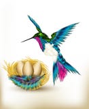 Colorful Background With Realistic Hummingbird And Nest Full Of Royalty Free Stock Photo