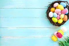 Colorful Easter eggs in nest with tulip flower on blue wooden background.