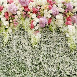 Colorful Flowers With Green Wall For Wedding Backdrop Stock Photo Colorful Flowers With Green Wall For Wedding Backdrop Stock Photo