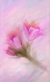 Colorful illustration in light purple, blue, pink spring flowers - Crocus . Elegant background.