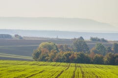 Colorful landscape in Lower Franconia with autumn mood and autumn colors in the vineyard in the morning mist stock photos Colorful landscape in Lower Franconia with autumn mood and autumn colors in the vineyard in the morning mist stock photos