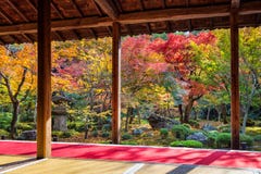 Colorful leaves in autumn park, Japan Royalty Free Stock Image Colorful leaves in autumn park, Japan Royalty Free Stock Image