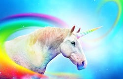 Colorful rainbow unicorn horse