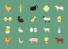 Colorful set of vector farm animals and produce vector illustration Colorful set of vector farm animals and produce vector illustration
