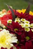 Colorful spring bouquet flowers with roses, chrysanthemum and camomile. Beautiful flower gift. Template for design. Copy space royalty free stock images Colorful spring bouquet flowers with roses, chrysanthemum and camomile. Beautiful flower gift. Template for design. Copy space royalty free stock images