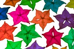 Colorful Star Fruit On White Background Royalty Free Stock Image Colorful Star Fruit On White Background Royalty Free Stock Image