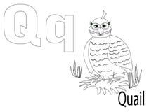Coloring Alphabet For Kids,Q Royalty Free Stock Images