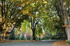 Colors of fall at the Volunteer Park, Seattle Washington royalty free stock photography Colors of fall at the Volunteer Park, Seattle Washington royalty free stock photography