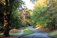 Colors of fall at the Volunteer Park, Seattle Washington Stock Photography Colors of fall at the Volunteer Park, Seattle Washington Stock Photography