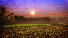 Colors Of Fantasy Landscape Sunset Stock Images Colors Of Fantasy Landscape Sunset Stock Images