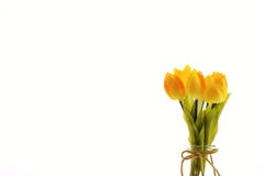 Jar of Spring Fresh royalty free stock photos Jar of Spring Fresh royalty free stock photos