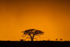 Colourful African Sunrise South Africa royalty free stock photography Colourful African Sunrise South Africa royalty free stock photography