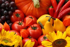 Colours of autumn royalty free stock photo Colours of autumn royalty free stock photo