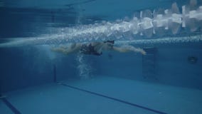 Colpo di movimento strisciante professionale di nuoto del nuotatore della donna nella vista subacquea dello stagno di acqua archivi video Colpo di movimento strisciante professionale di nuoto del nuotatore della donna nella vista subacquea dello stagno di acqua archivi video
