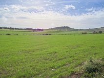 Colpo di un paesaggio rurale in un giorno soleggiato immagine stock Colpo di un paesaggio rurale in un giorno soleggiato immagine stock