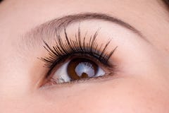Colpo a macroistruzione dell'occhio della donna fotografia stock libera da diritti Colpo a macroistruzione dell'occhio della donna fotografia stock libera da diritti