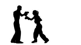 Combate el individuo y la muchacha en las patas del boxeo Silueta Fondo blanco almacen de video Combate el individuo y la muchacha en las patas del boxeo Silueta Fondo blanco almacen de video