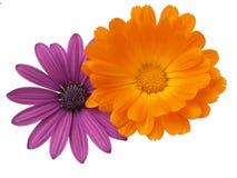 Combinazione variopinta immagini stock libere da diritti Combinazione variopinta immagini stock libere da diritti