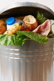Comida fresca en el cubo de la basura para ilustrar la basura Imágenes de archivo libres de regalías Comida fresca en el cubo de la basura para ilustrar la basura Imágenes de archivo libres de regalías