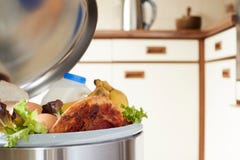 Comida fresca en el cubo de la basura para ilustrar la basura Fotos de archivo libres de regalías Comida fresca en el cubo de la basura para ilustrar la basura Fotos de archivo libres de regalías