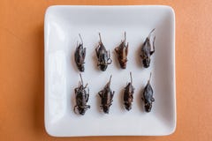 Comidas del insecto en magdalenas del plátano imagen de archivo Comidas del insecto en magdalenas del plátano imagen de archivo