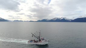 Commercial salmon fishing boat on the move in Alaska