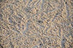 Compensi la deriva il foro sulla spiaggia di Chao Samran in Phetchaburi Tailandia immagine stock libera da diritti Compensi la deriva il foro sulla spiaggia di Chao Samran in Phetchaburi Tailandia immagine stock libera da diritti