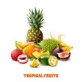 Exotic Tropical Fruits Composition royalty free illustration Exotic Tropical Fruits Composition royalty free illustration