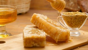 Composition de pain de miel, de nid d'abeilles et d'abeille Versement de miel (aucun 5, casserole de la LR) banque de vidéos Composition de pain de miel, de nid d'abeilles et d'abeille Versement de miel (aucun 5, casserole de la LR) banque de vidéos