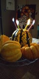 Composition en Halloween photo libre de droits Composition en Halloween photo libre de droits