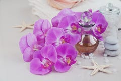 Composition Of Spa Treatment With Perfume Or Aromatic Oil Bottle Royalty Free Stock Photo