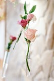 Composizione dei fiori viola e rosa, pianta in vasi di vetro fotografia stock libera da diritti Composizione dei fiori viola e rosa, pianta in vasi di vetro fotografia stock libera da diritti