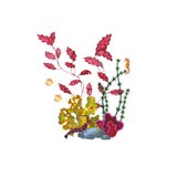 Composição da aquarela com algas, corais e animais de mar ilustração stock Composição da aquarela com algas, corais e animais de mar ilustração stock
