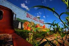 Compri i prodotti locali al mercato locale degli agricoltori fotografia stock Compri i prodotti locali al mercato locale degli agricoltori fotografia stock