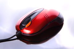 Computer Mouse Stock Image
