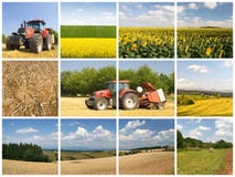 Conceito da agricultura fotos de stock Conceito da agricultura fotos de stock